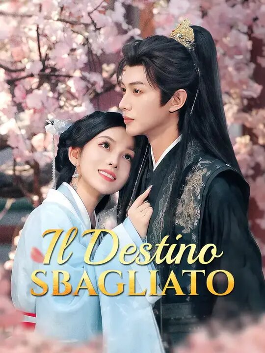 Copertina ufficiale di Il Destino Sbagliato