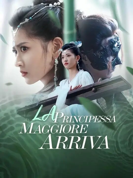 Copertina ufficiale di La Principessa Maggiore Arriva